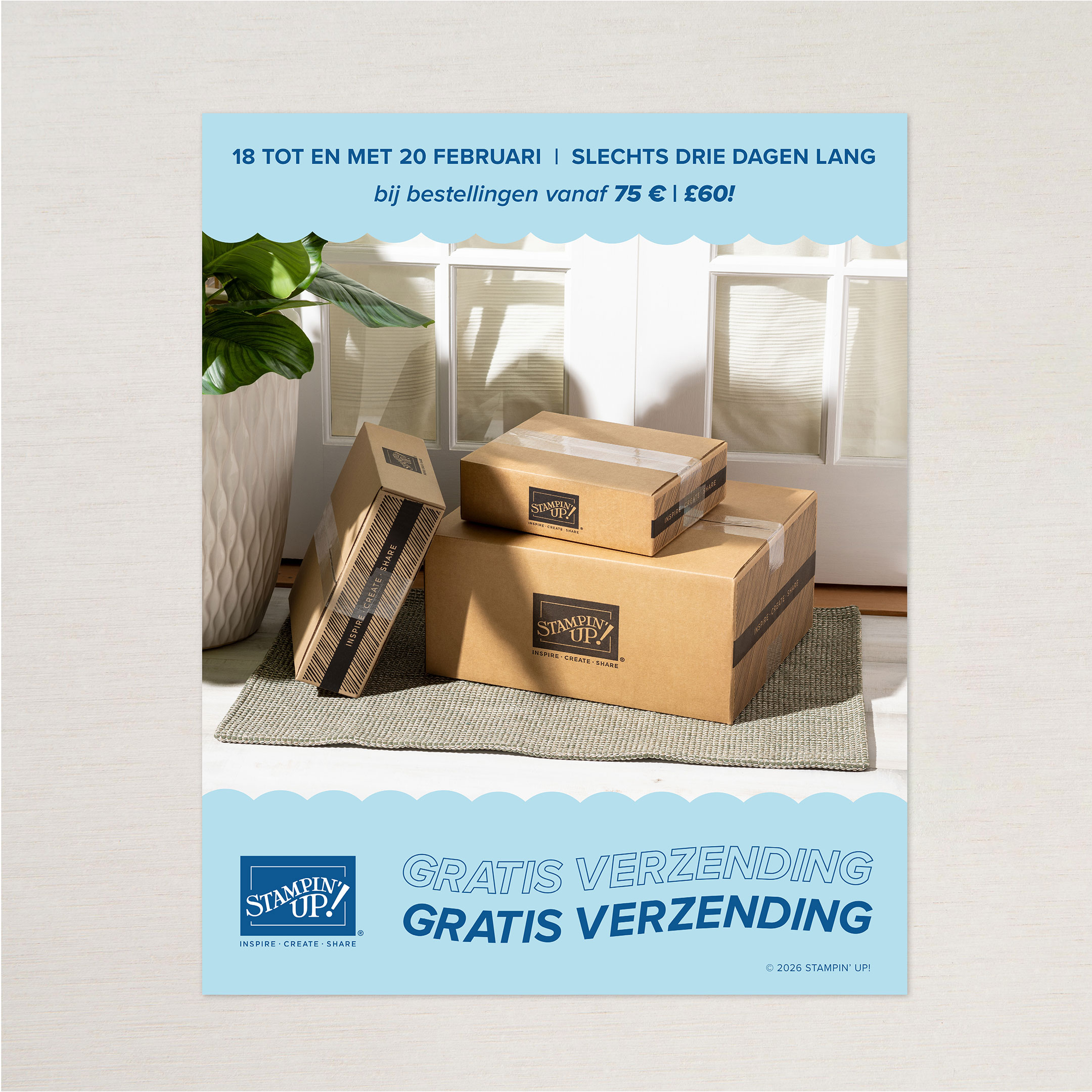 C87cc81c 1536 4c90 bbba 6a430a3601ab