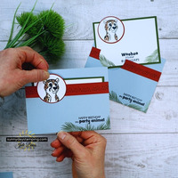 Thumb b384992d 6994 454b bd70 230f029d0cb1