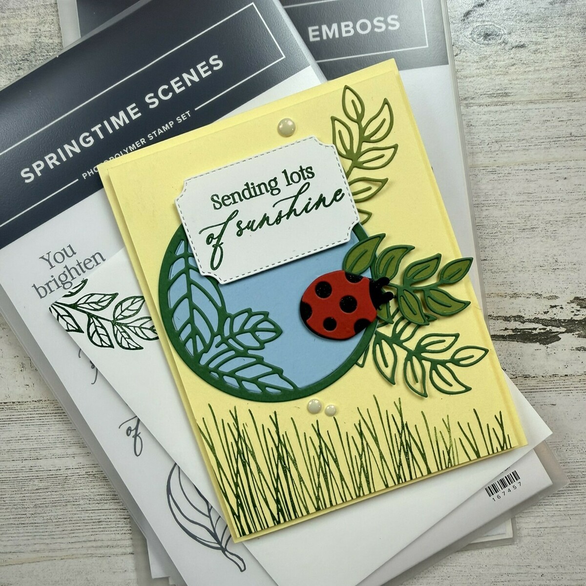 Large e204d267 e0b3 442b b1bd b5c303de97dc