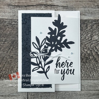 Thumb 00943666 fc88 4f41 af2b 0940b3a7bcc6