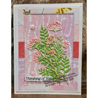 Thumb a8e22c4e 638d 4b0d a128 9fa0a619ce83