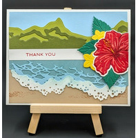 Thumb d4717a63 8768 4697 aba6 7b77268603b3