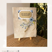 Thumb ea7bd2cf 0f1a 447e 8757 273a64813f83