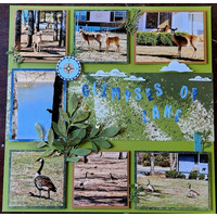 Thumb fea32cbb cc18 4dcf 9a9e 8e26df9f8f12