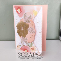 Thumb 3657d3fc 9884 40a5 9766 f8fd5ed6a040