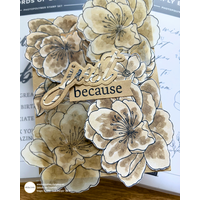 Thumb 051d779b 204a 4070 8476 df9c2d5c0596