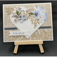 Thumb c513180c 1612 49bb 81c2 f91cc9f75d3c