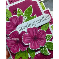 Thumb 5c200b98 9110 45d7 9879 d2964a49f3e6