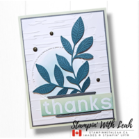 Thumb 1c528e5e 9c48 4d3f a672 0cdc548114d7