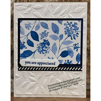 Thumb aa002572 c79e 4d77 8f32 0dbe70009442