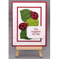 Thumb 3ad58958 8a68 4add 90a8 cc3af2250e5c