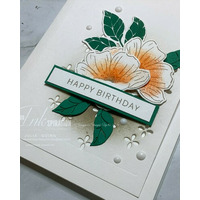 Thumb 23ad2b9a 631d 4747 aaca cebe75f4f691