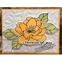 Thumb 27b622dc 5e7b 4516 ad97 f330f9b5cdbf