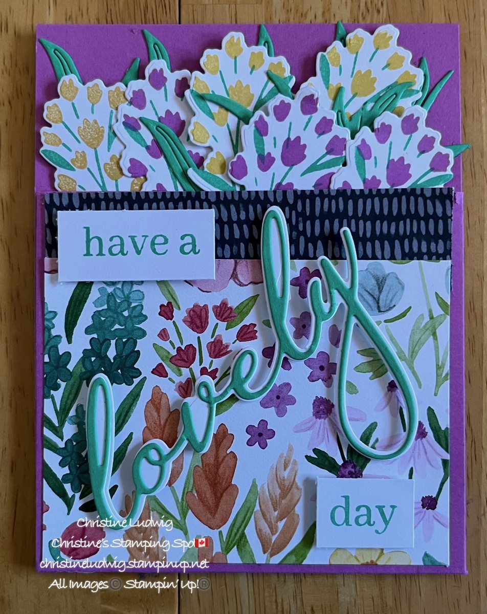 Large 89355d6f cbb0 4f1d a26e d3e3713e68a4