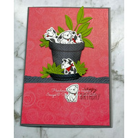 Thumb 9ad409d9 5258 40dd 9992 0db73142e755