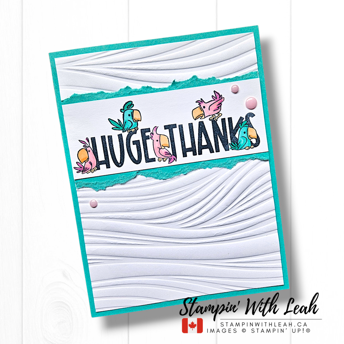 Large 81a24847 602d 4b29 b3e3 4a7e1cbd871f