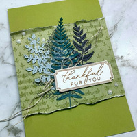 Thumb 2af956fa ccaf 4838 aab2 c595d86a8673