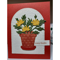 Thumb af3a897a 6f14 4439 8084 b907a0c2d001