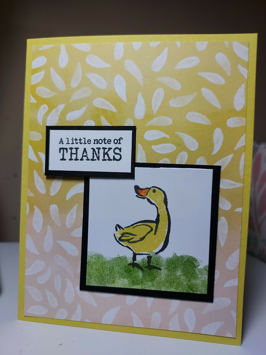 Large 6a1ca9fe 4216 4030 822a c7253f47d341