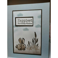 Thumb 8abc542e 8dff 4969 898c f56c4356a273