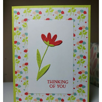 Thumb c1835a52 56f0 4777 824e 5abf296c1652