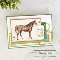 Thumb 704007e7 f556 4213 9891 d91067a0d72e