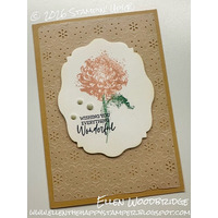 Thumb 9b25acfd 2a08 47f7 94fb 1b2cf3aab4a9