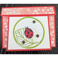 Thumb 996d20e2 dd81 4e17 a085 1fb594eec41a