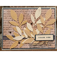 Thumb b594153d 9af8 4c10 a4e5 7a19d038c2c8