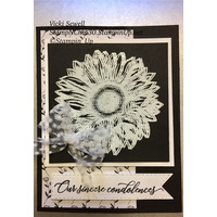 Thumb 5d4457e5 2e9b 4ad6 b593 ec3daca34ac0