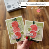 Thumb 7d7d0b64 e09c 4fa1 a7d1 59d27d0cf210