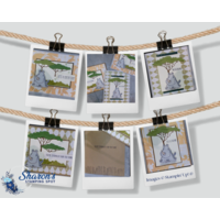 Thumb c123a35a 2f3c 48df a919 b50800b78e07